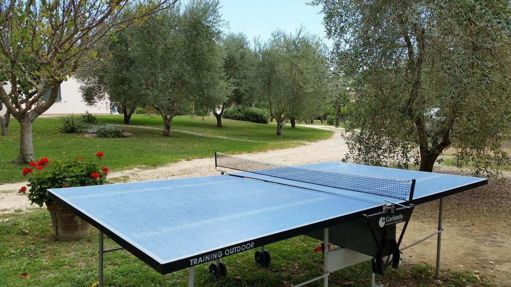 I Sicomori - Seme Di Carota - Glamping E Appartamenti Con Piscina A Saturnia Exterior foto